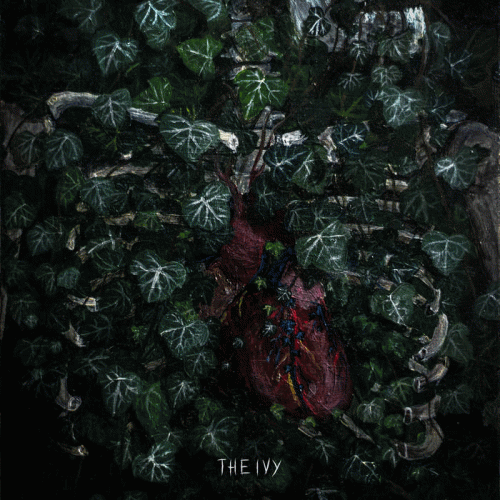 The Ivy